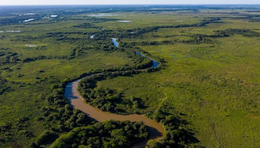 Pantanal é escolhido como um dos melhores 50 destinos do mundo