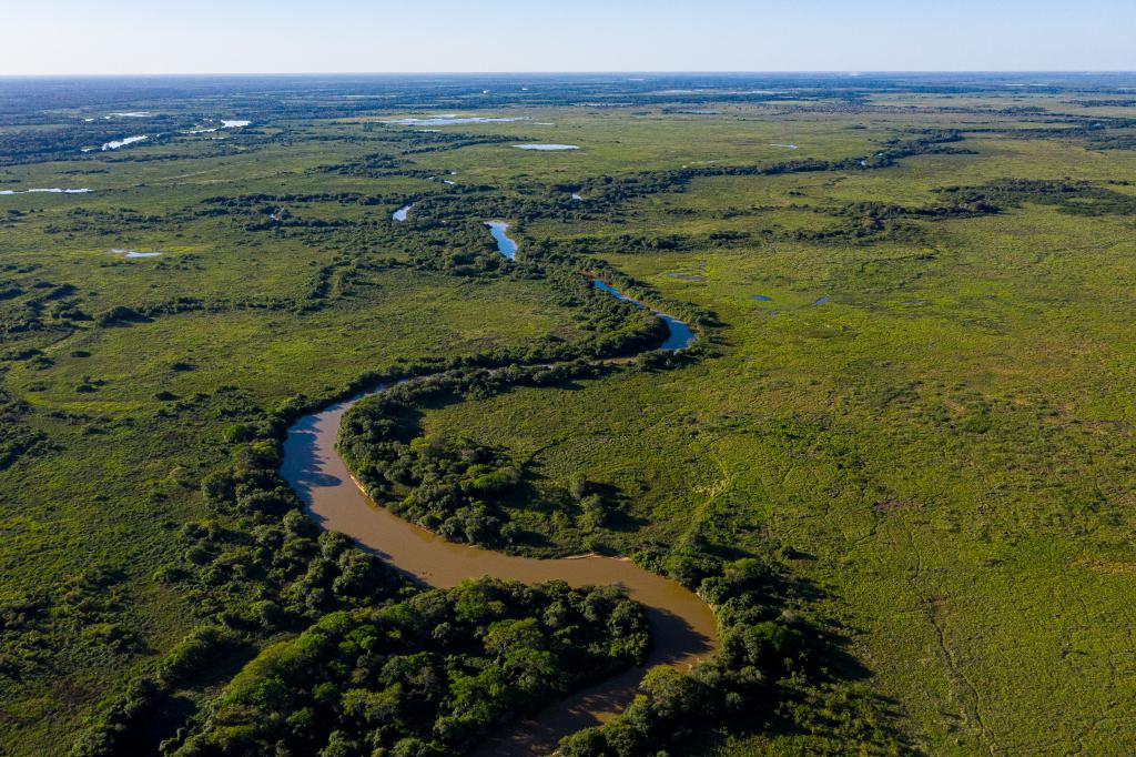 Pantanal é escolhido como um dos melhores 50 destinos do mundo