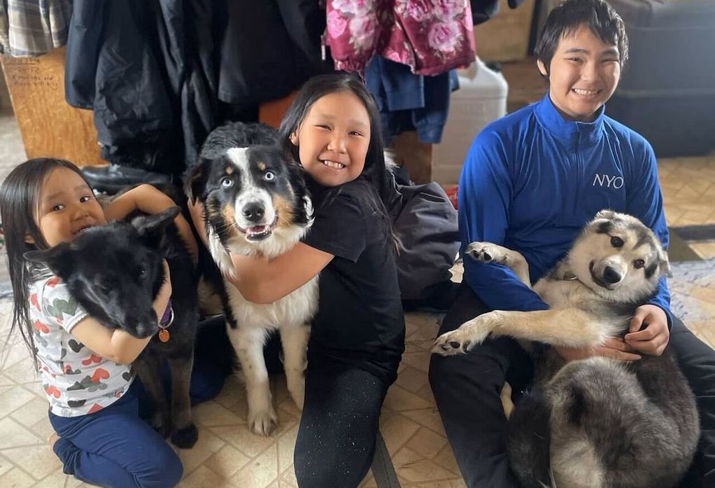 Cachorro perdido caminha 150 milhas no gelo para reencontrar sua família