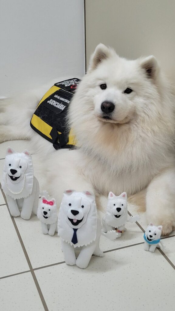 cães de assistência, cachorros terapeutas, fórum